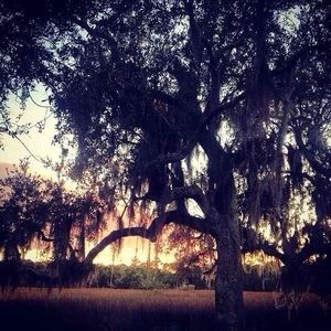 Meet your Posher, Cathy